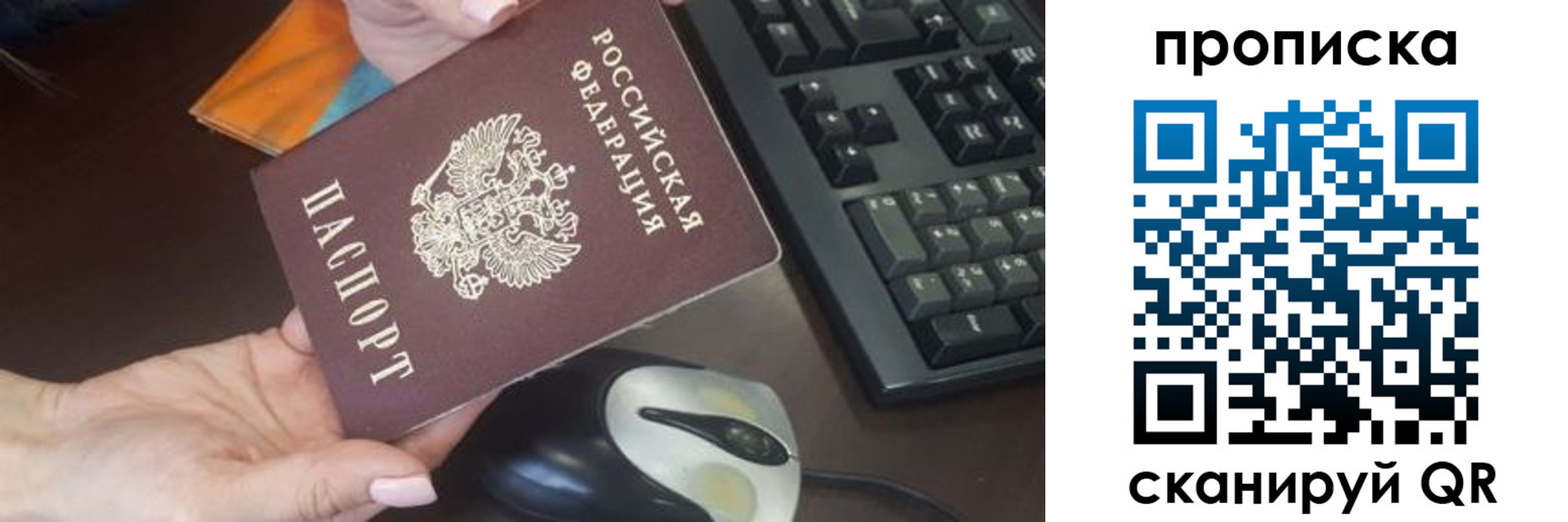 прописка гарантия в Долгопрудном